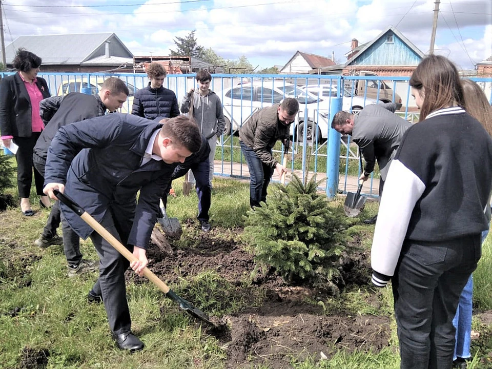 С начала 2023 года около 200 населенных пунктов в крае присоединились к международной акции «Сад памяти». Фото: пресс-службы администрации Краснодарского края