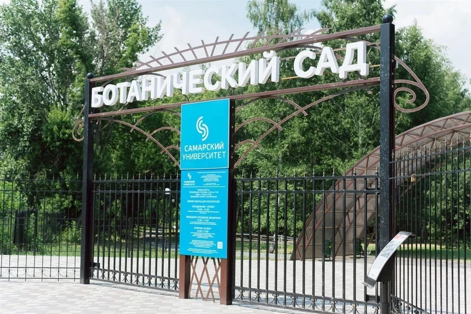 Ботанический сад открыл свои двери для посещений. Фото: Самарский университет
