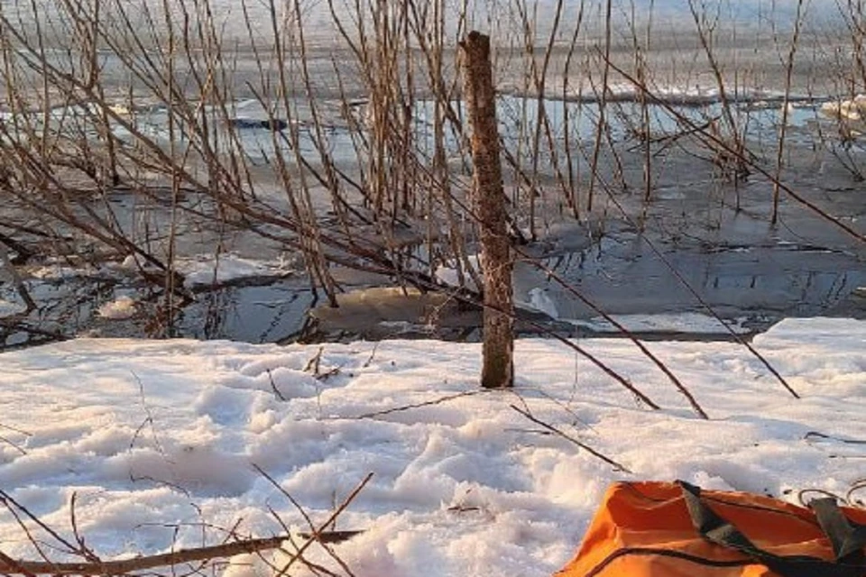 Спасатели рассказали, где нашли тело 8-летнего мальчика, пропавшего в СНТ под Новосибирском. Фото: ГУ МЧС НСО.