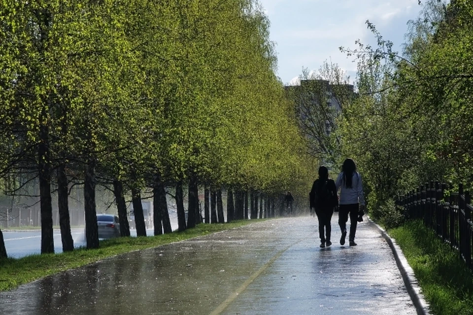 Апрель завершится на дождливой ноте, но порадует потеплением.