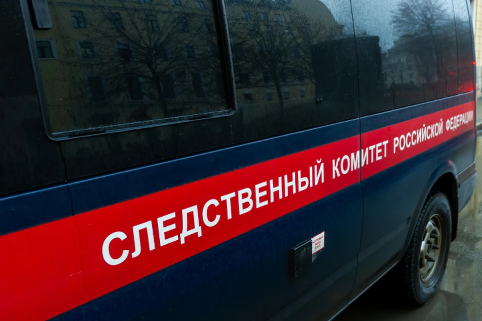 Следственный комитет проводит проверку по факту происшествия.