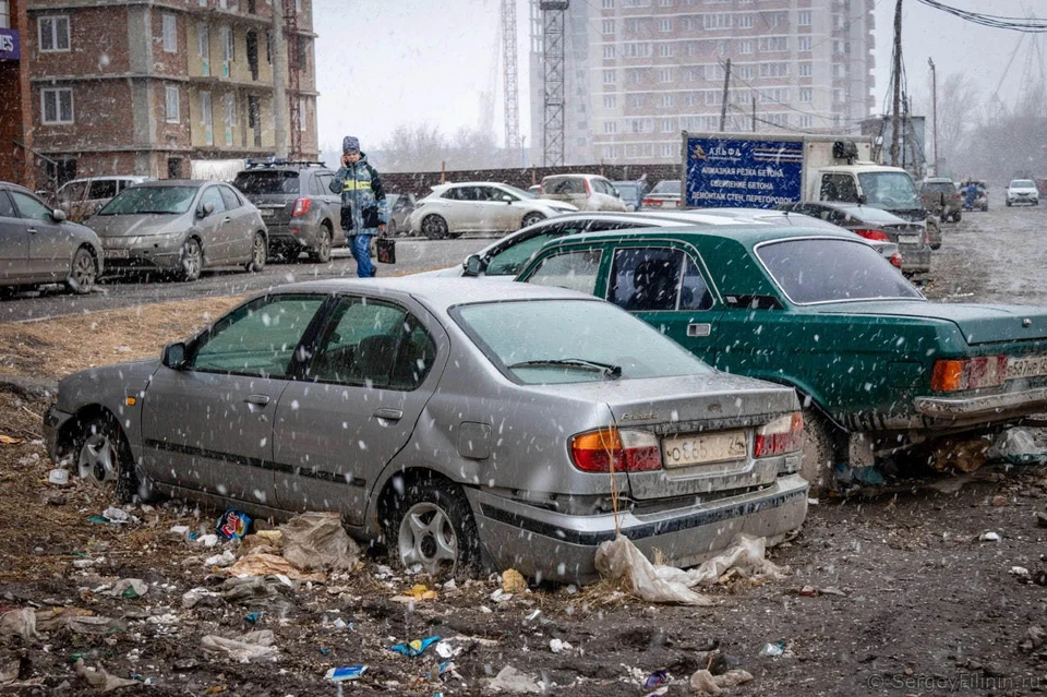 Фото: dzen.ru/filinin_krsk