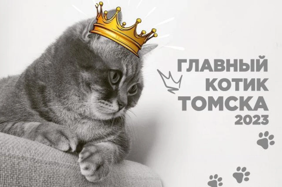 Фото: "АиФ-Томск"
