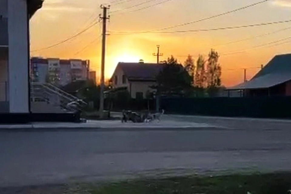 Очевидцы утверждают, что все произошло рядом с детской поликлиникой. Фото: скриншот видео ТГ-канал «Южный нам нужный»