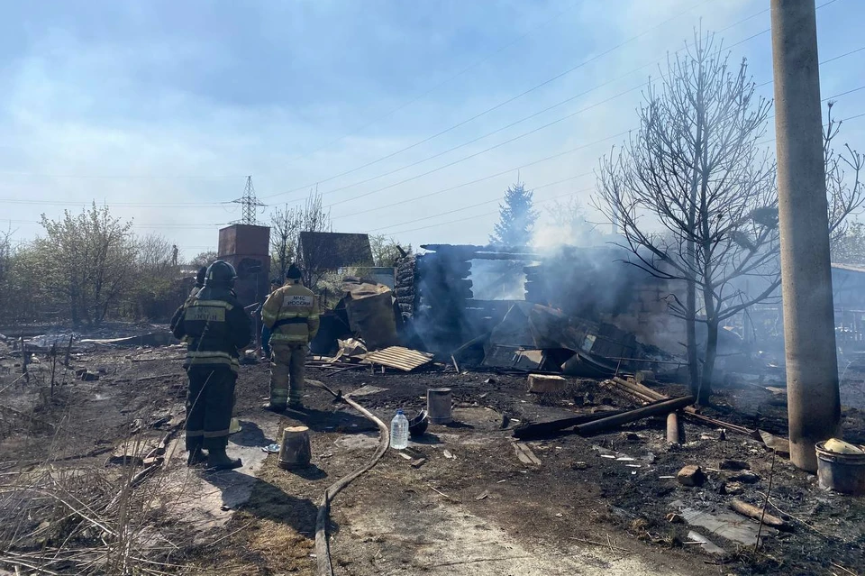 Суммарная площадь возгораний — 41 гектар