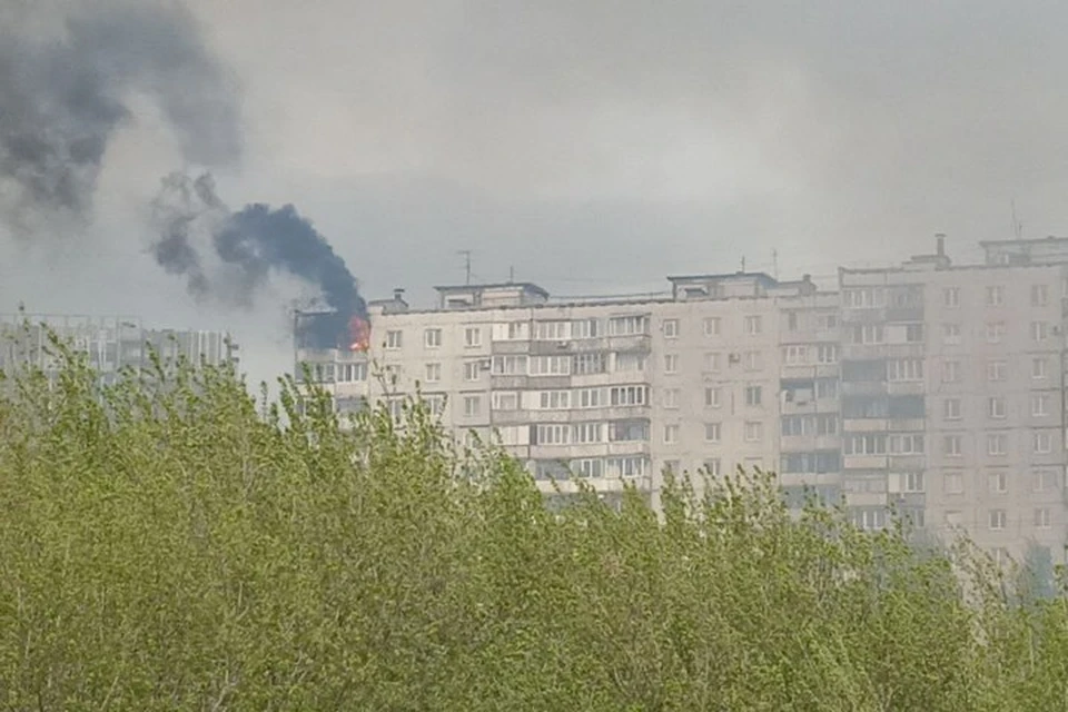 ЧП произошло рядом с тем логом, где тушили заброшенные дачные дома.