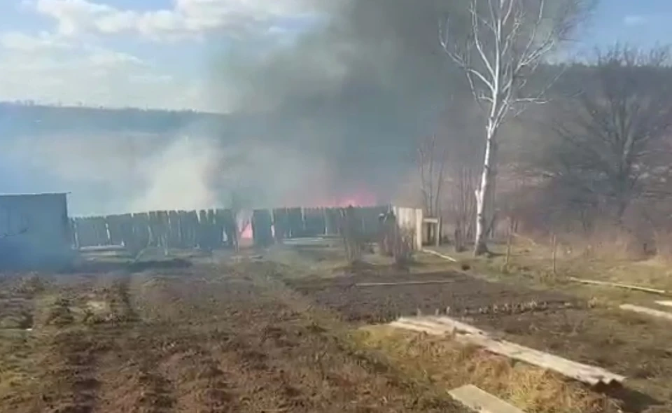 Фото: принтскрин видео