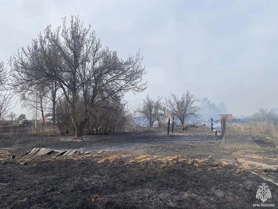 В течение дня пожарные 7 раз тушили сухую растительность. Фото: пресс-служба ГУ МЧС по Удмуртии
