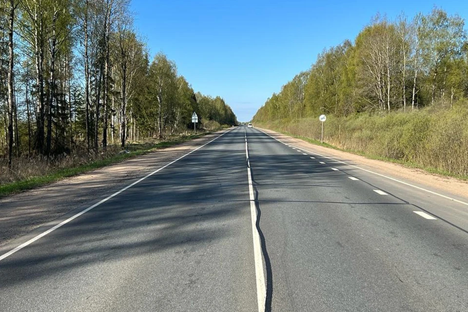 Водитель уснул за рулем и совершил ДТП Фото: УГИБДД России по Тверской области