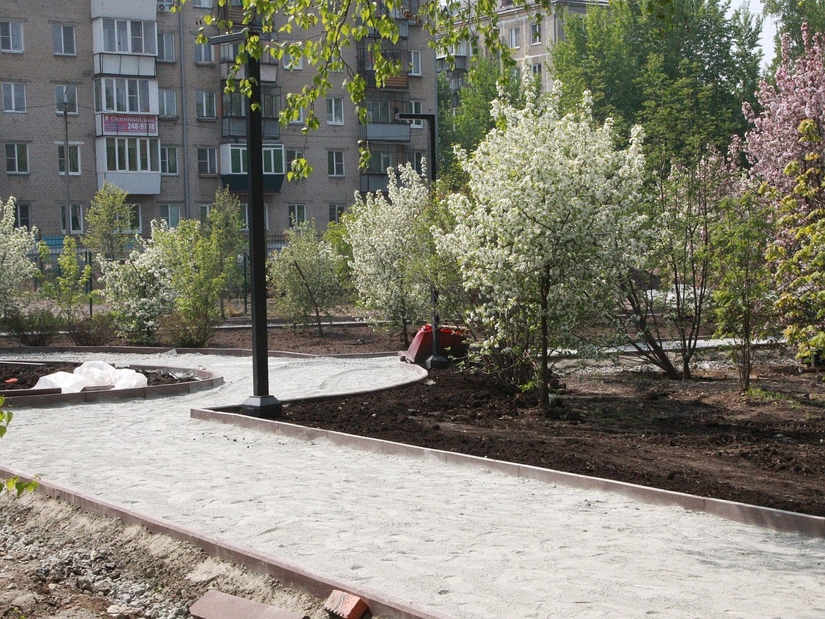 В Металлургическом районе Челябинск откроют сквер с лиственницами и  площадкой для силовых тренировок - KP.RU