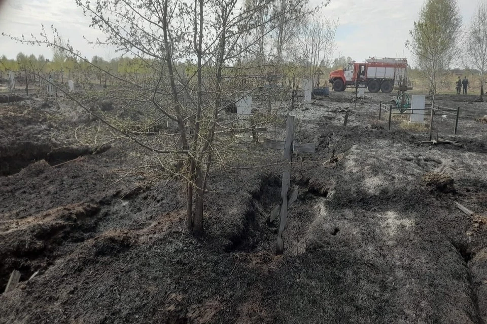 Кладбище загорелось из-за неосторожного обращения с огнем в Новосибирской области. Фото: Отдел надзорной деятельности и профилактической работы по городу Бердску.
