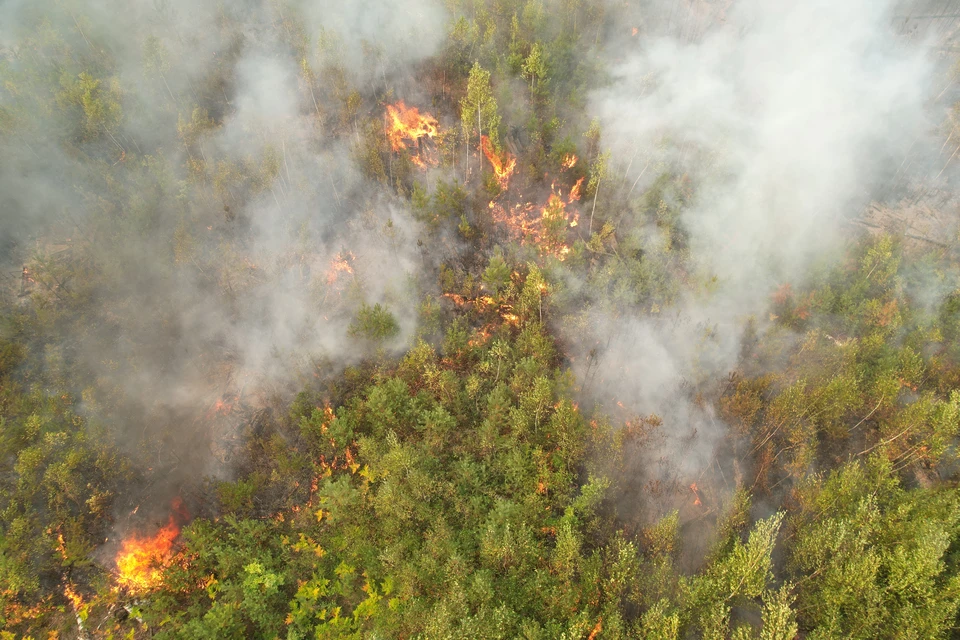 В Приморье сохранится высокий класс пожарной опасности в лесах.