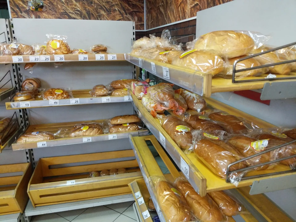 Судебные приставы на 90 суток закрыли пекарню из-за плесени на потолке в Суворовском районе Тульской области