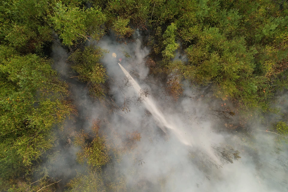 В Томской области потушили два лесных пожара.