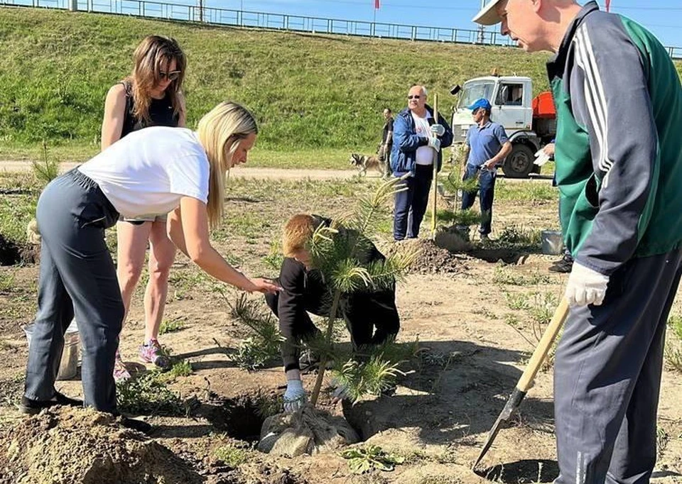 Сквер волкова калуга карта