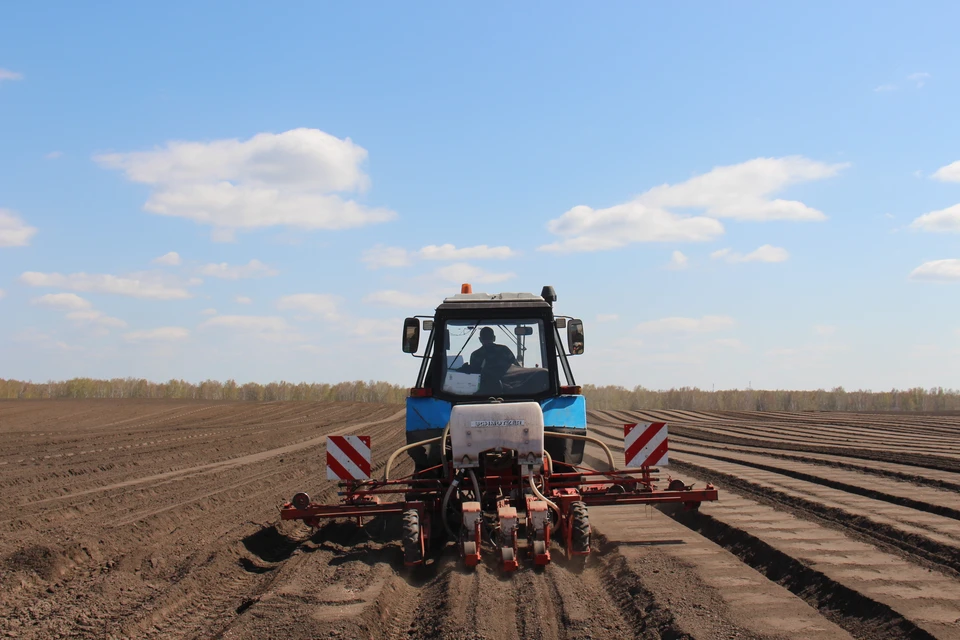 Сельхозпроизводители Томской области начали высаживать картофель