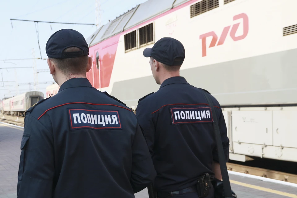 Причастных к пожару на железной дороге между Москвой и Рязанью ищут правоохранительные органы.