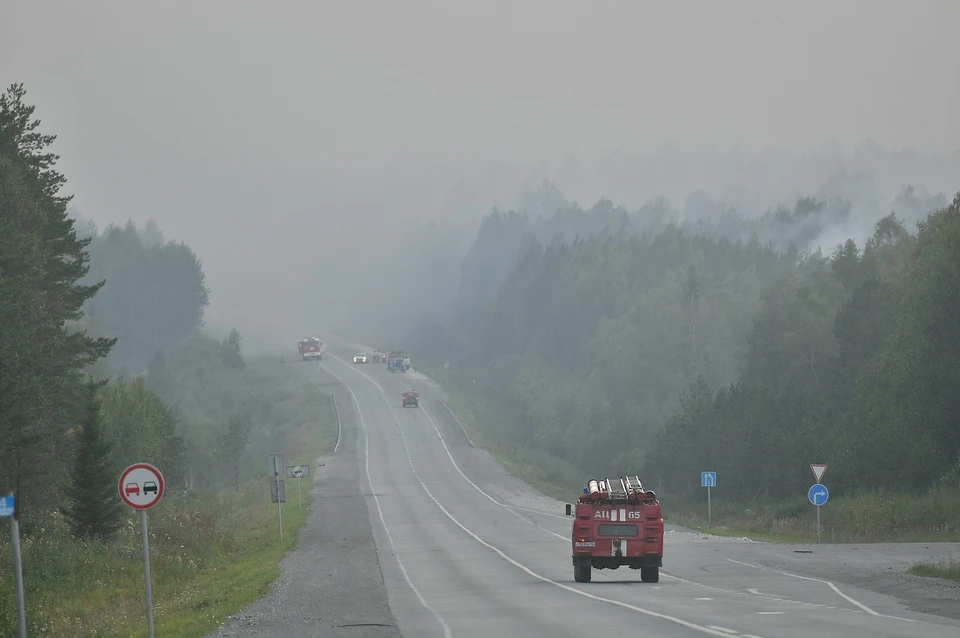На территории региона 21 мая действовало 35 природных пожаров