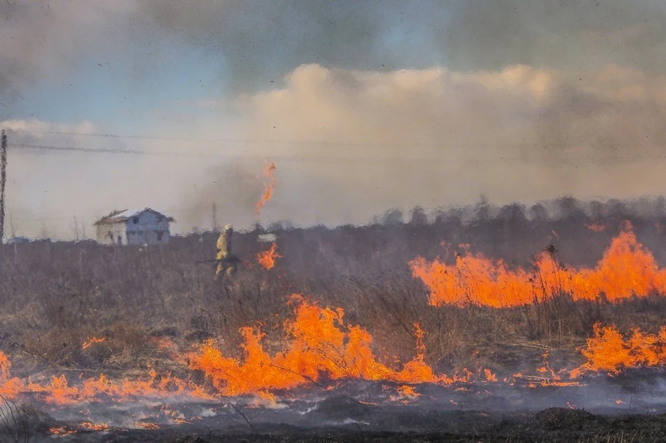 22 мая на территории Тульской области ожидается высокая степень пожароопасности