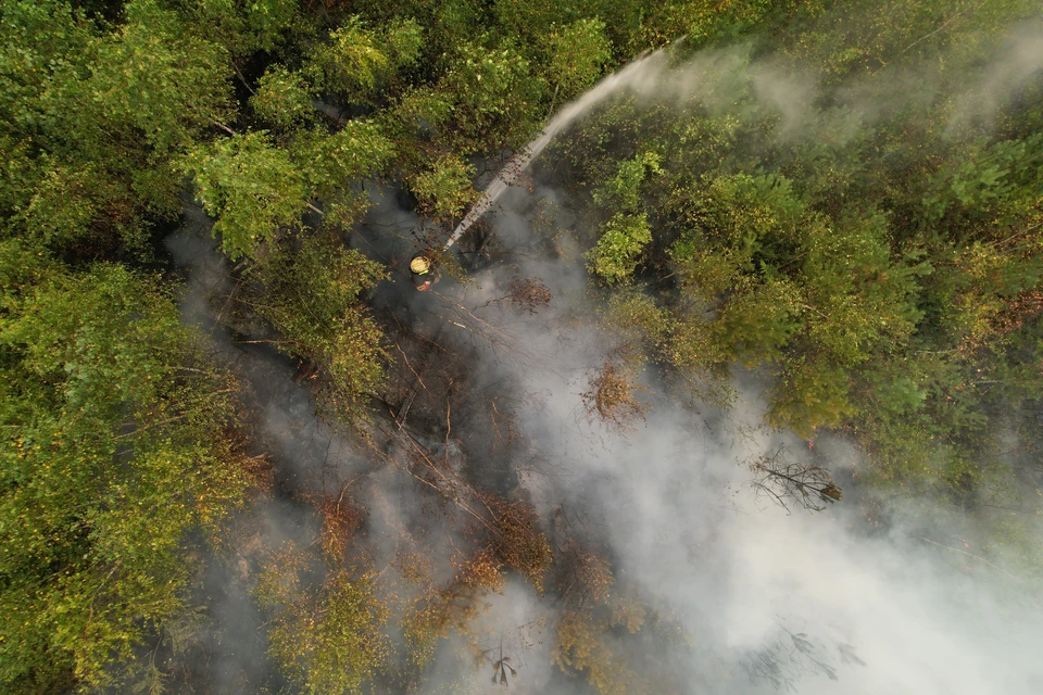 В Томской област действует один лесной пожар.