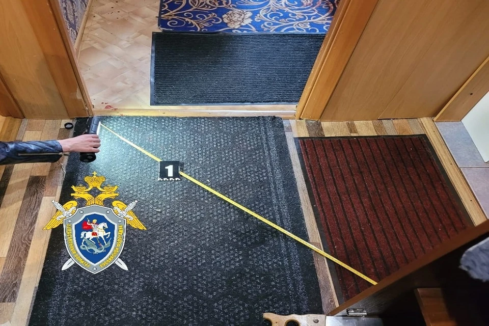 В Новосибирске 46-летняя женщина зарезала мужа из-за оскорблений. Фото: СК РФ по НСО.