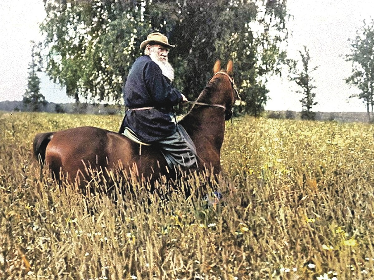 Как сделать скамейку своими руками: 7 отличных вариантов - Лайфхакер