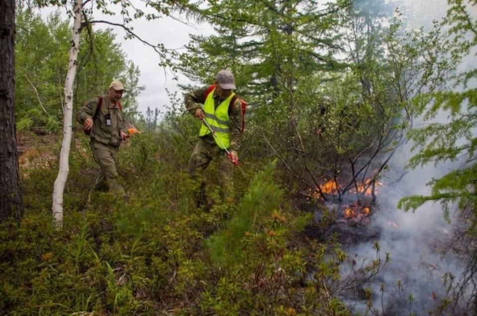На борьбу с лесными пожарами на Сахалине добавили средств. Фото: правительство Сахалинской области