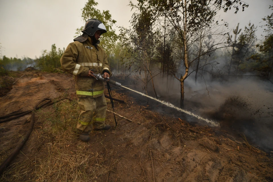 В Томской области действуют два лесных пожара.