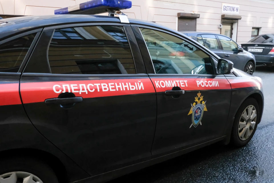 СК начал проверку из-за избиения детей в частной школе в Петербурге