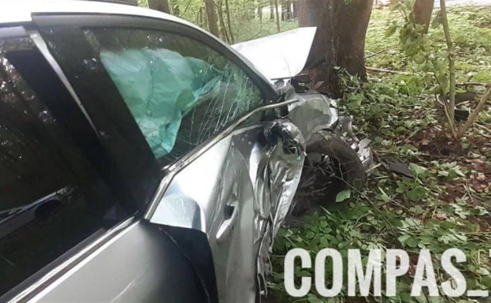 В поселке Мыза под Тулой водитель автомобиля Mazda съехал в кювет и врезался в дерево