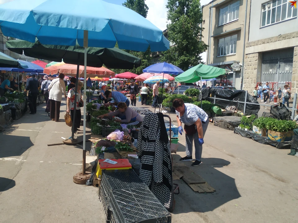 На Центральном рынке Кишинева выделили площадку для продажи рассады и саженцев. Фото: "КП"