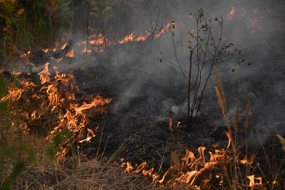 Возгорания произошли в Усольском и Тайшетском районах области.