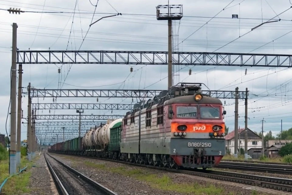 Фото: пресс-служба Минэкономразвития Коми