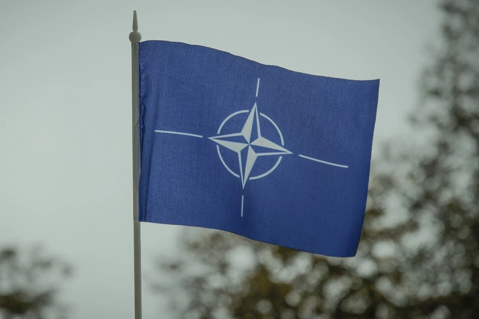 В Британии заявили, что Украине не стоит рассчитывать на приглашение в НАТО в июле