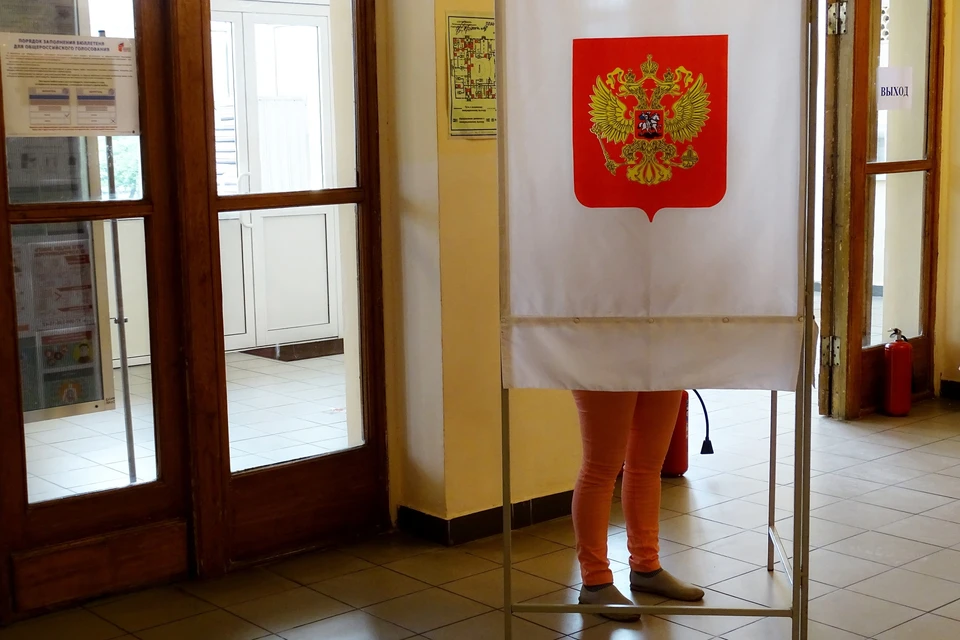 В Липецкой области используют электронное голосование на допвыборах депутата Госдумы