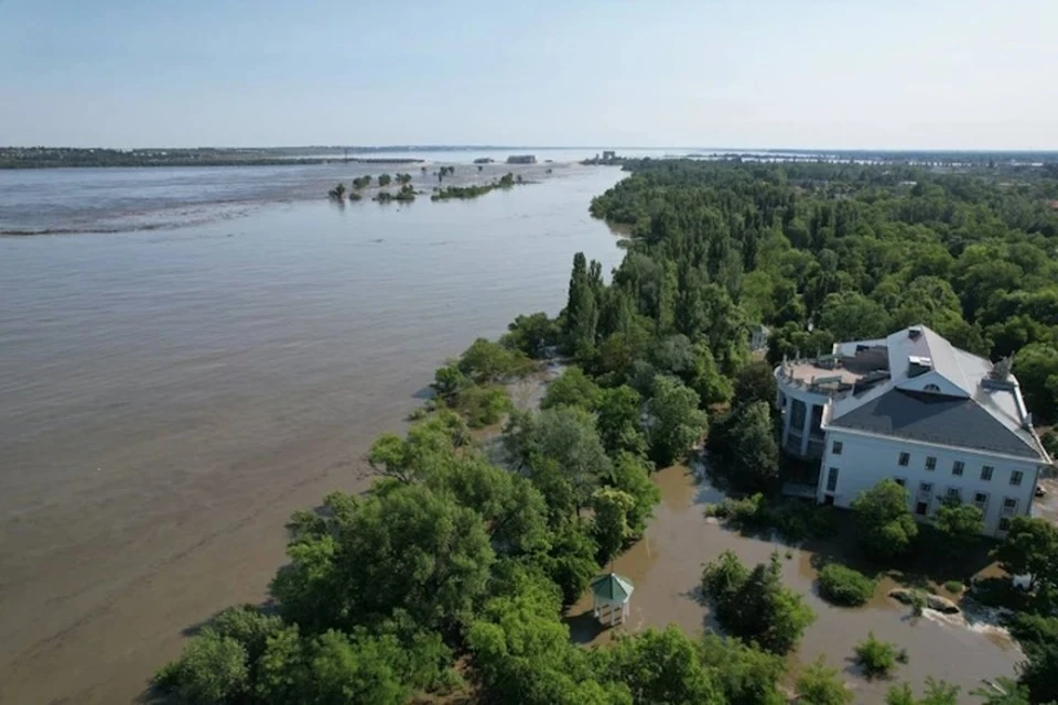 Реликтовые осетровые рыбы могут исчезнуть из-за подрыва Каховской ГЭС, фото: администрация Новокаховского городского округа