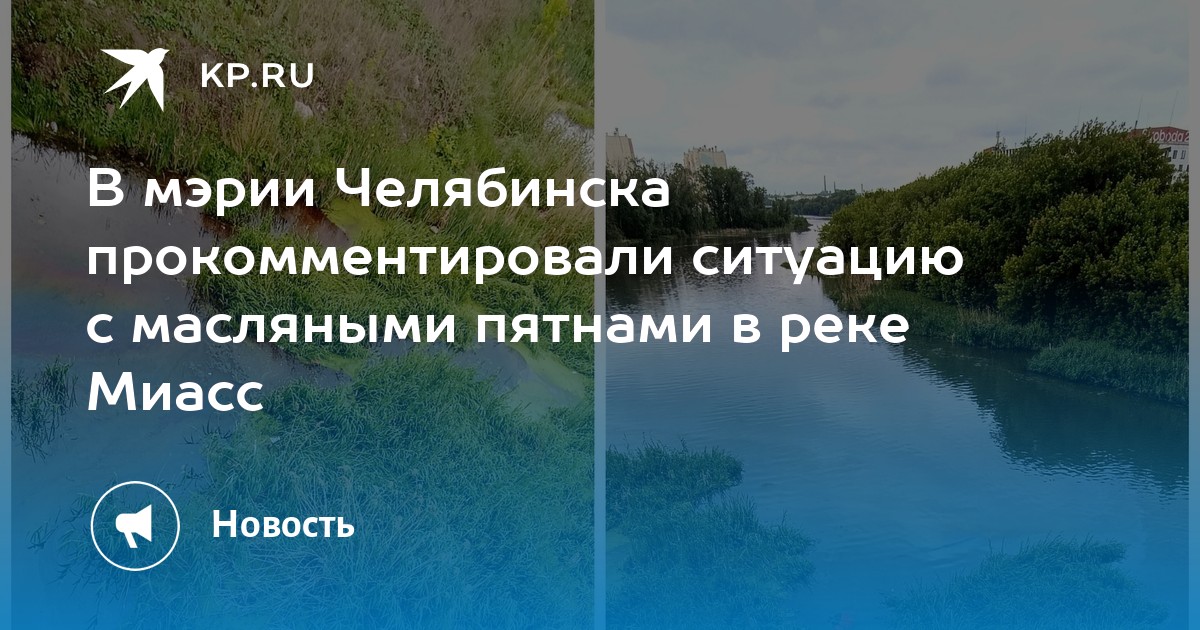 Какая рыба водится в реке миасс в челябинске