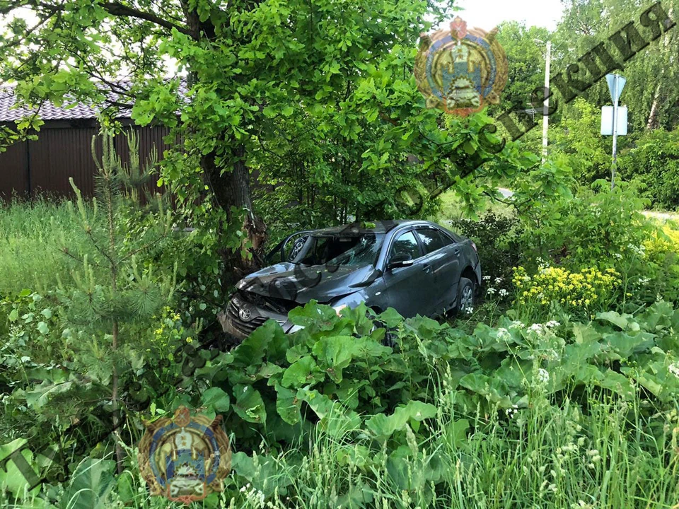 В тульском поселке Ленинский водитель автомобиля Toyota съехал в кювет, врезался в дерево и скрылся с места ДТП