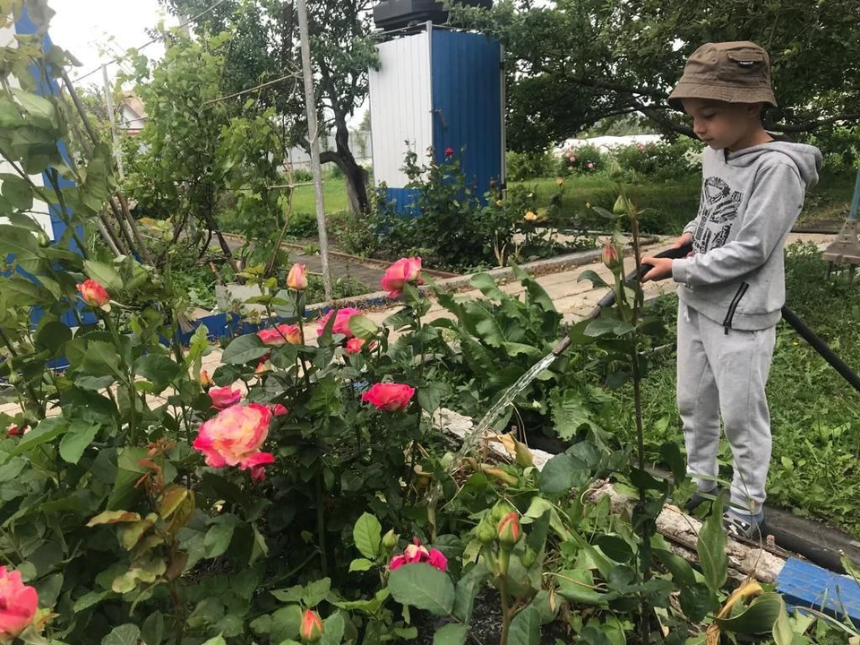 Жителям Белгородской области напомнили правила экономии воды в жаркие дни.