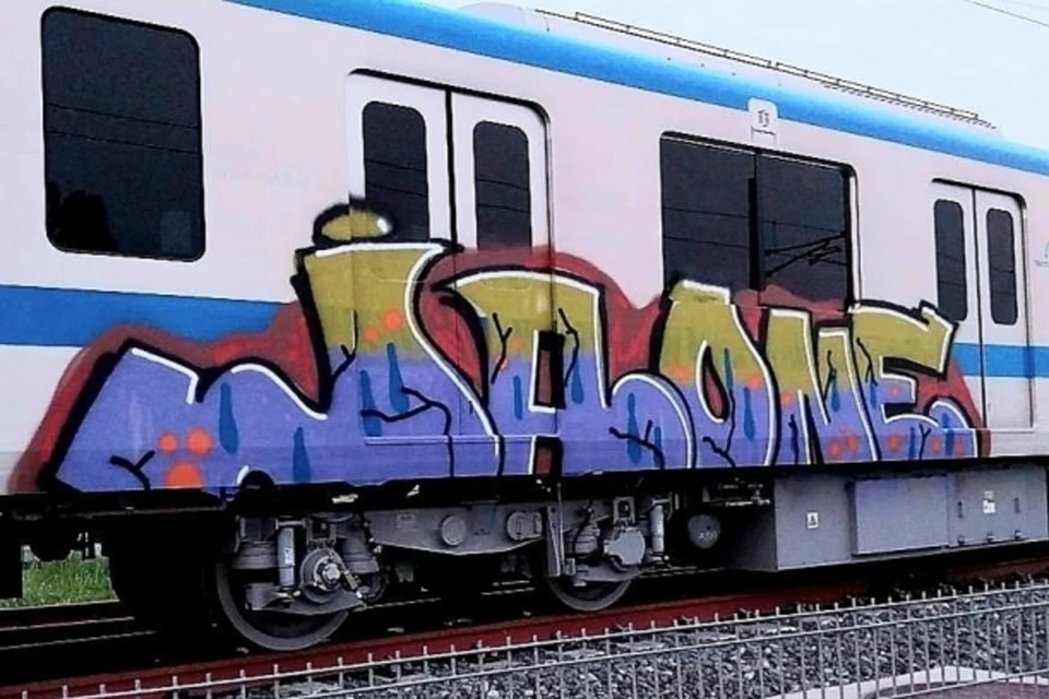 Полиция подозревает белорусского художника-граффитиста в разрисовке вагонов метро в Хошимине. Фото: VnExpress/Ha Giang