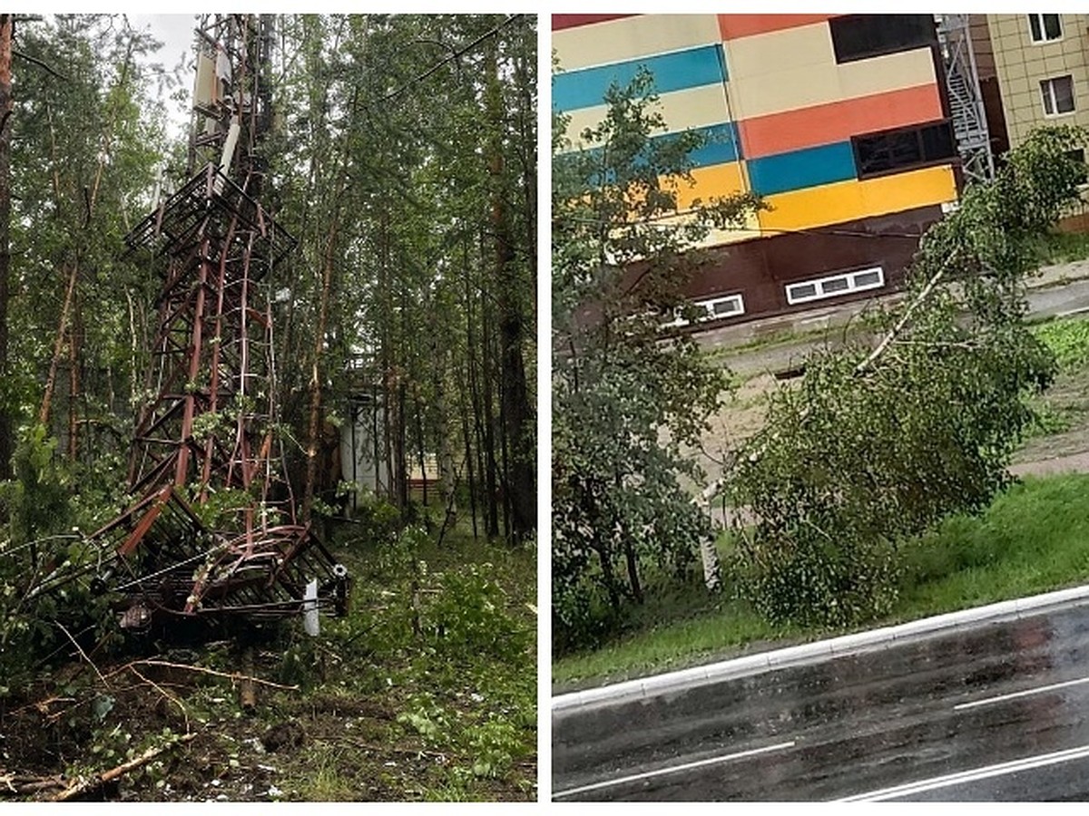 На Ямале ураганный ветер вырывал с корнями деревья и рушил вышки сотовой  связи - KP.RU