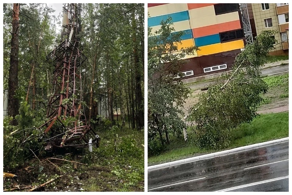 Фото: соцсети