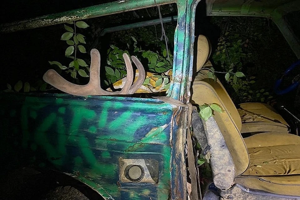 Убитое животное погрузили в машину и забросали ветками. Фото: Ольга Славгородская/Вконтакте