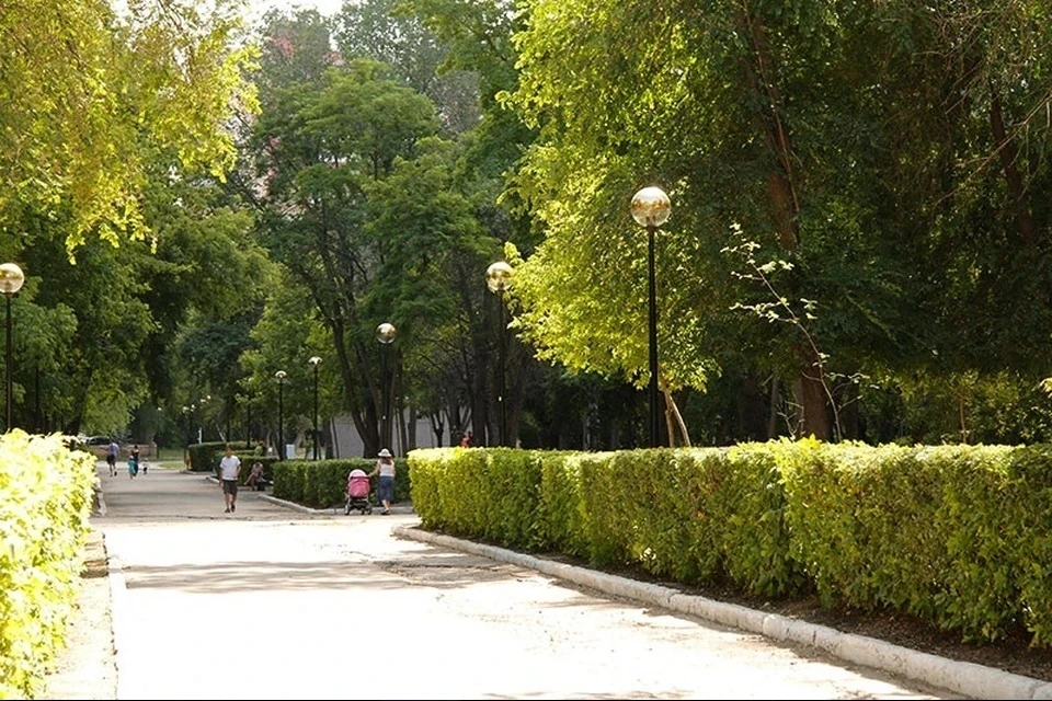 Общественные пространства приведут в порядок и озеленят / Фото: parki-samara.ru