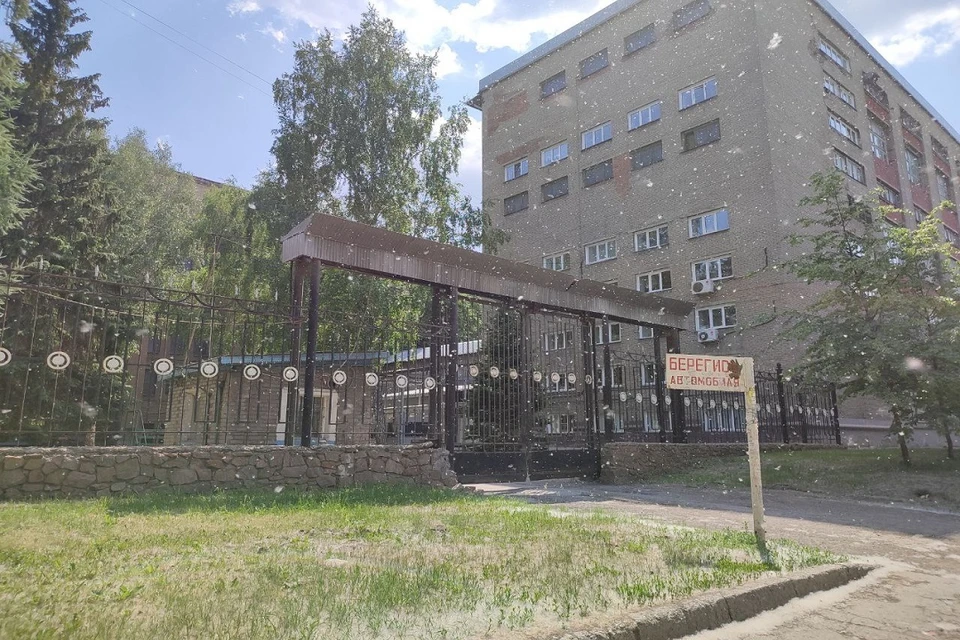 Метель из тополиного пуха поднялась в Новосибирске.