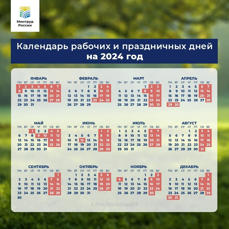 Фото: Минтруда России