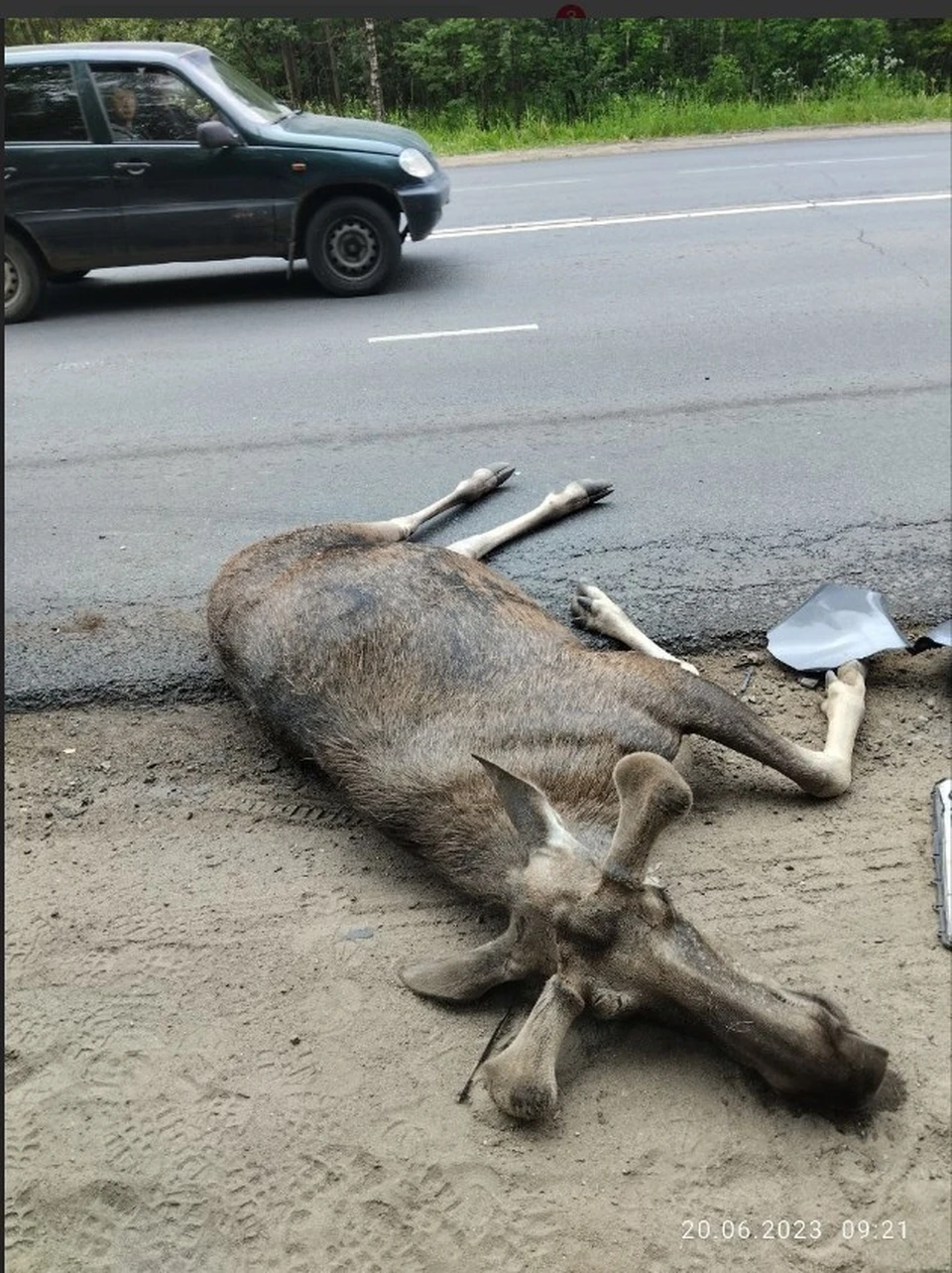 Фото: социальные сети