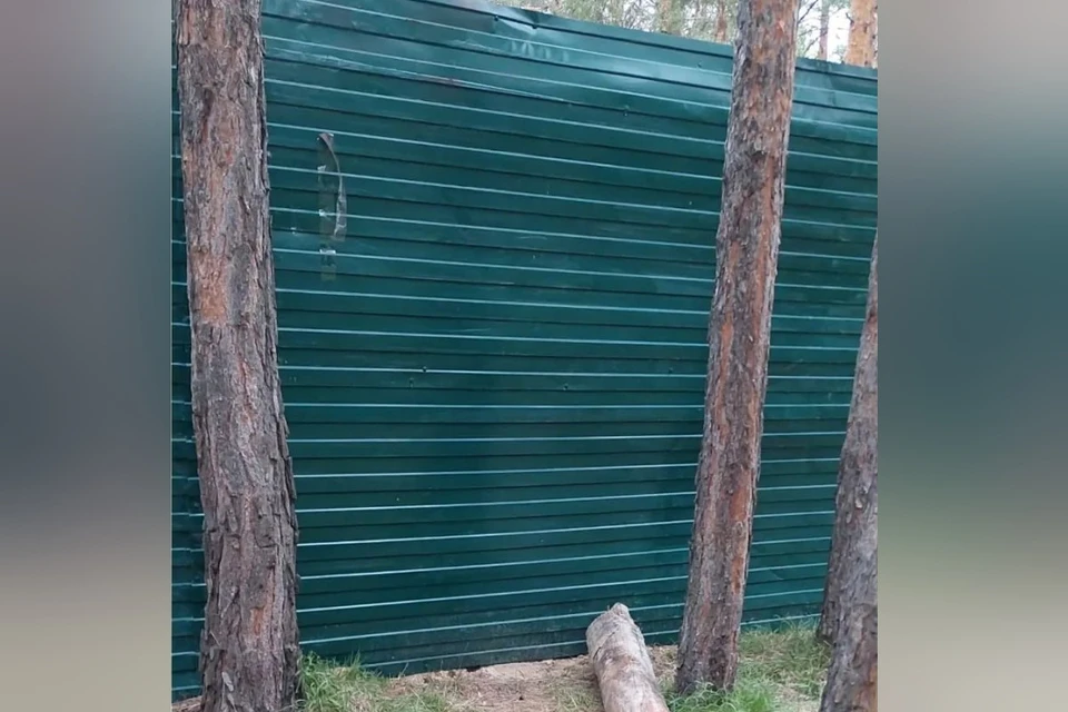 Место проникновения злоумышленников. Фото: "Зоополис"