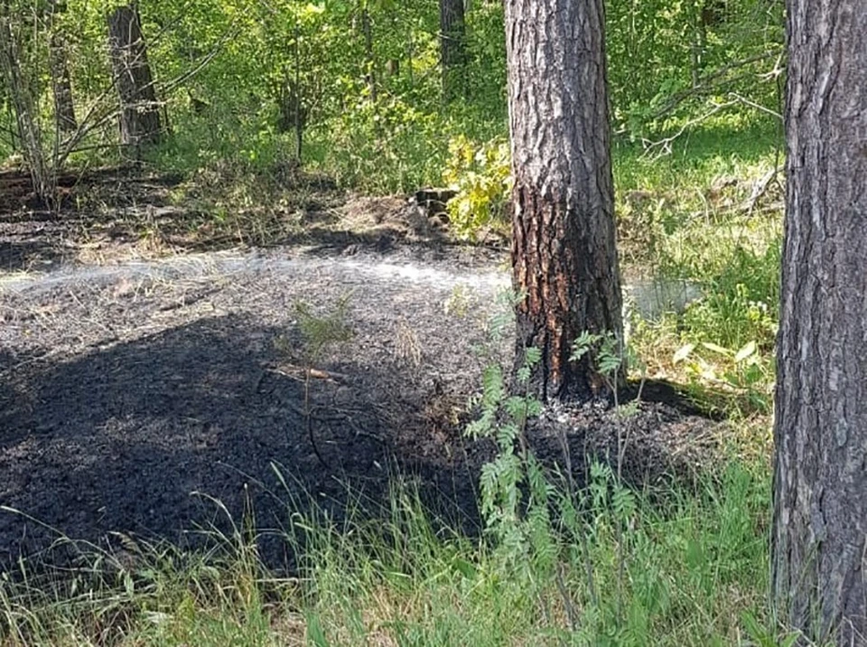 Фото опубликовало МЧС.
