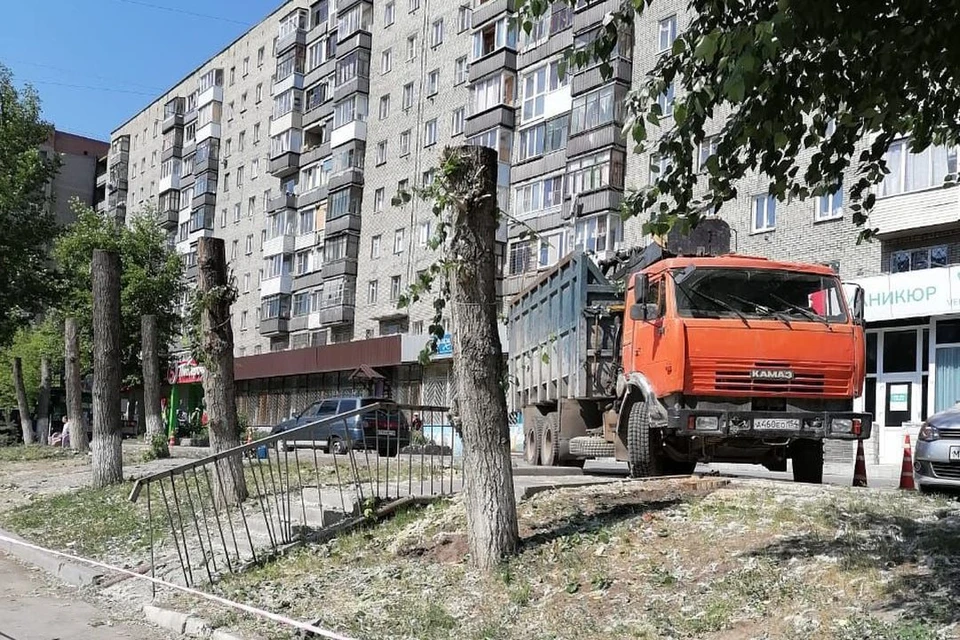 Теперь вместо красивых деревьев жильцы смотрят на обрубки. Фото: «Царьград Новосибирск».
